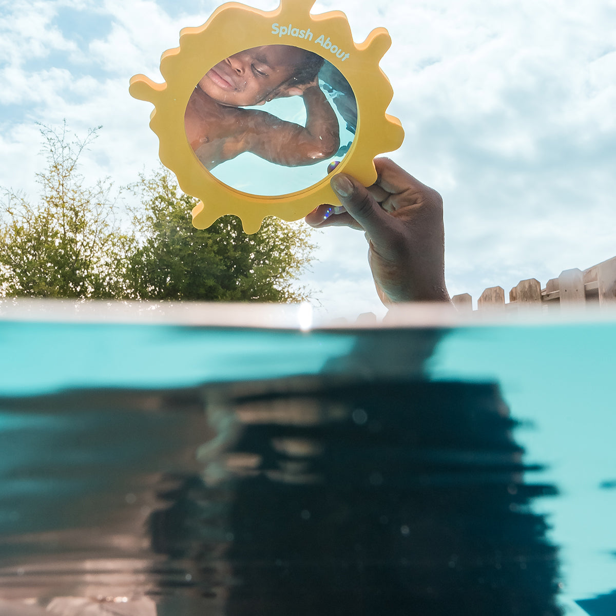 Pufferfish Bath & Pool Mirror